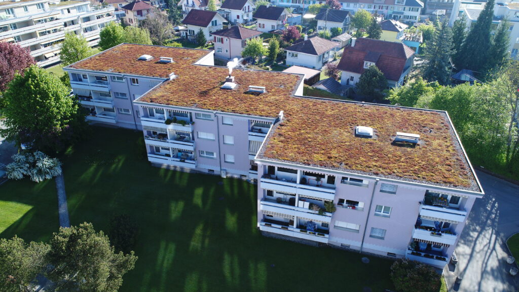 DCIM100MEDIADJI_0117.JPG